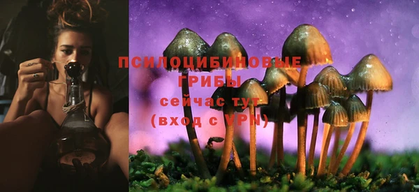эйфоретик Беломорск