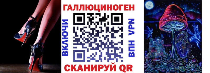 blacksprut зеркало  Армавир  Галлюциногенные грибы Psilocybine cubensis  что такое  