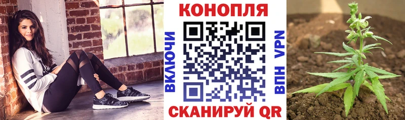 мориарти наркотические препараты закладка kraken ТОР Армавир Бошки марихуана индика